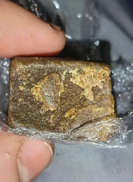 BMP Dry Sift Hash