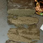 Ghost Farm Hash – photo 5