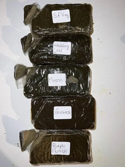 No Farm 120u Premium Hash – photo 2
