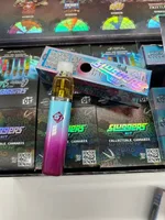 Sluggers 2G Disposable – photo 3