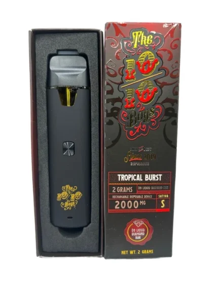 10/10 boys 2G Disposable Vapes