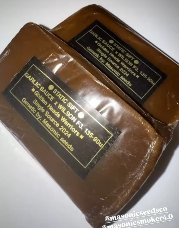 Two slabs of Garlic Sauce x Wilson F3 static sift with Golden Heads Warriors labels