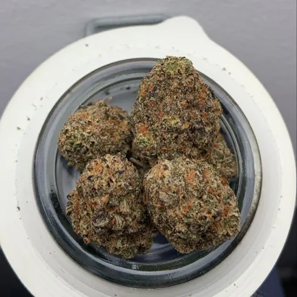 Rainbow Cookies Strain