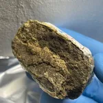 DryTech X Golden Farms Hash – photo 3