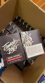 jungle boys 1g Vape – photo 4