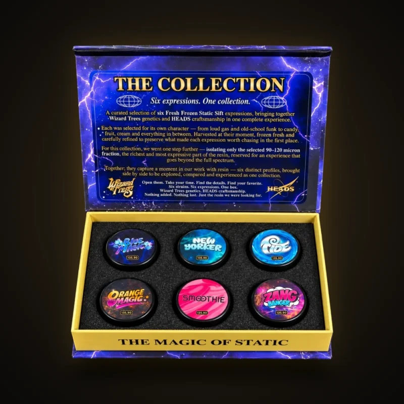 The HEADS x Wizard Trees Static Sift Collection 2026 box, open, with six jars: Blue Magic, New Yorker, Tide, Orange Magic, Smoothie and Zang Banger