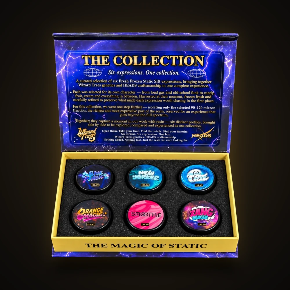 Static Sift Collection 2026, open The HEADS x Wizard Trees Static Sift Collection 2026 box, open, with six jars: Blue Magic, New Yorker, Tide, Orange Magic, Smoothie and Zang Banger